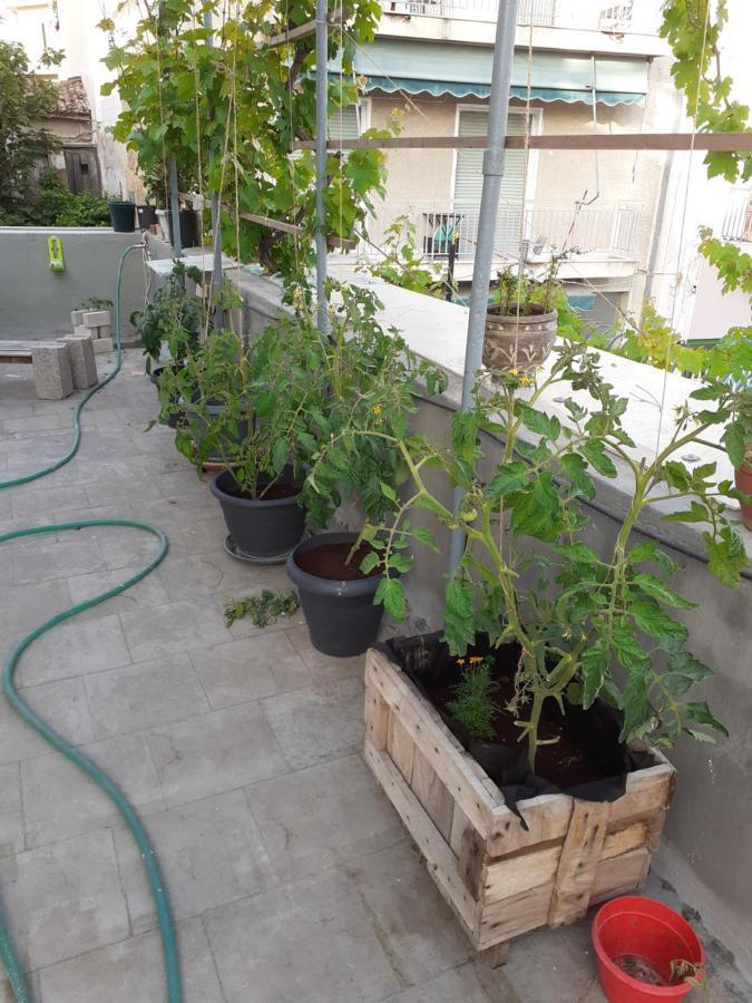 아테네 17 Flats And Roof Garden 아파트 외부 사진