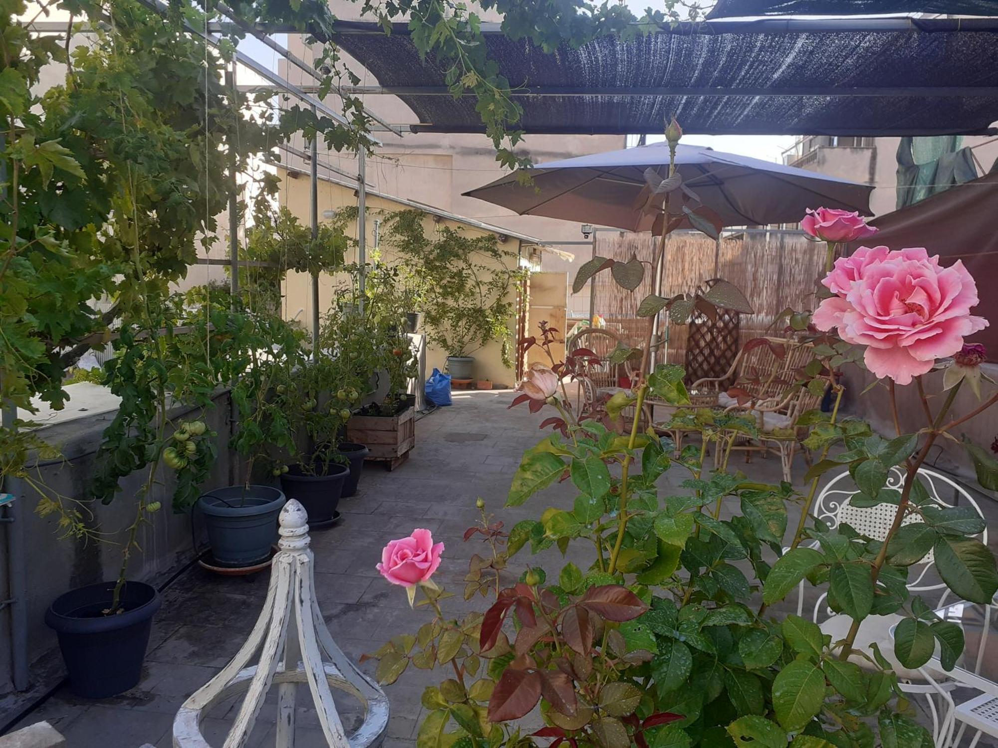 아테네 17 Flats And Roof Garden 아파트 외부 사진